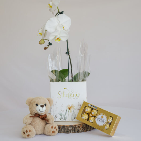 Kit Orquídea Simples 02 -Cores de acordo com a disponibilidade