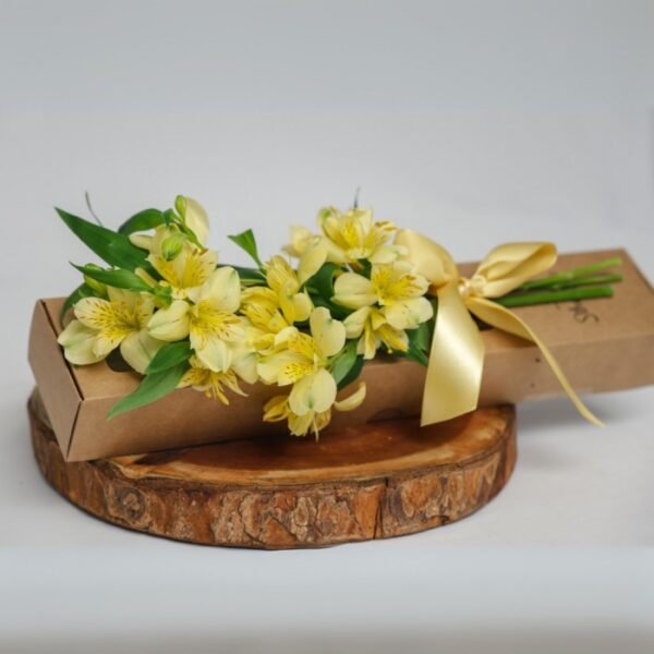 Box Astromélia Presente (cores sortidas)